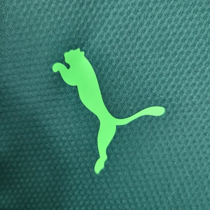 Cheap 2020-2021 Palmeiras Second retro kit