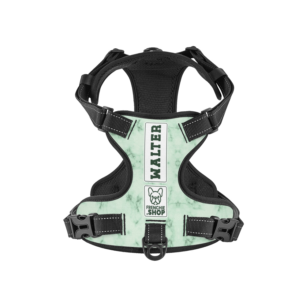 French Bulldog Willow Personalized No Pull French Bulldog Dog Harness Practical Dog Gear