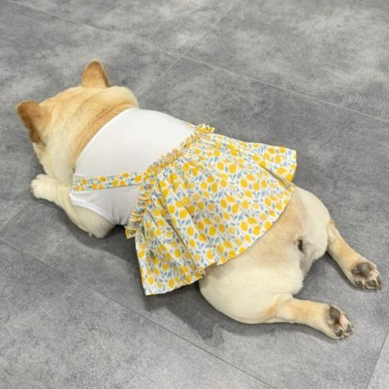 French Bulldog Frenchie Summer Dress Floral Design (w308) Durable Dog Item