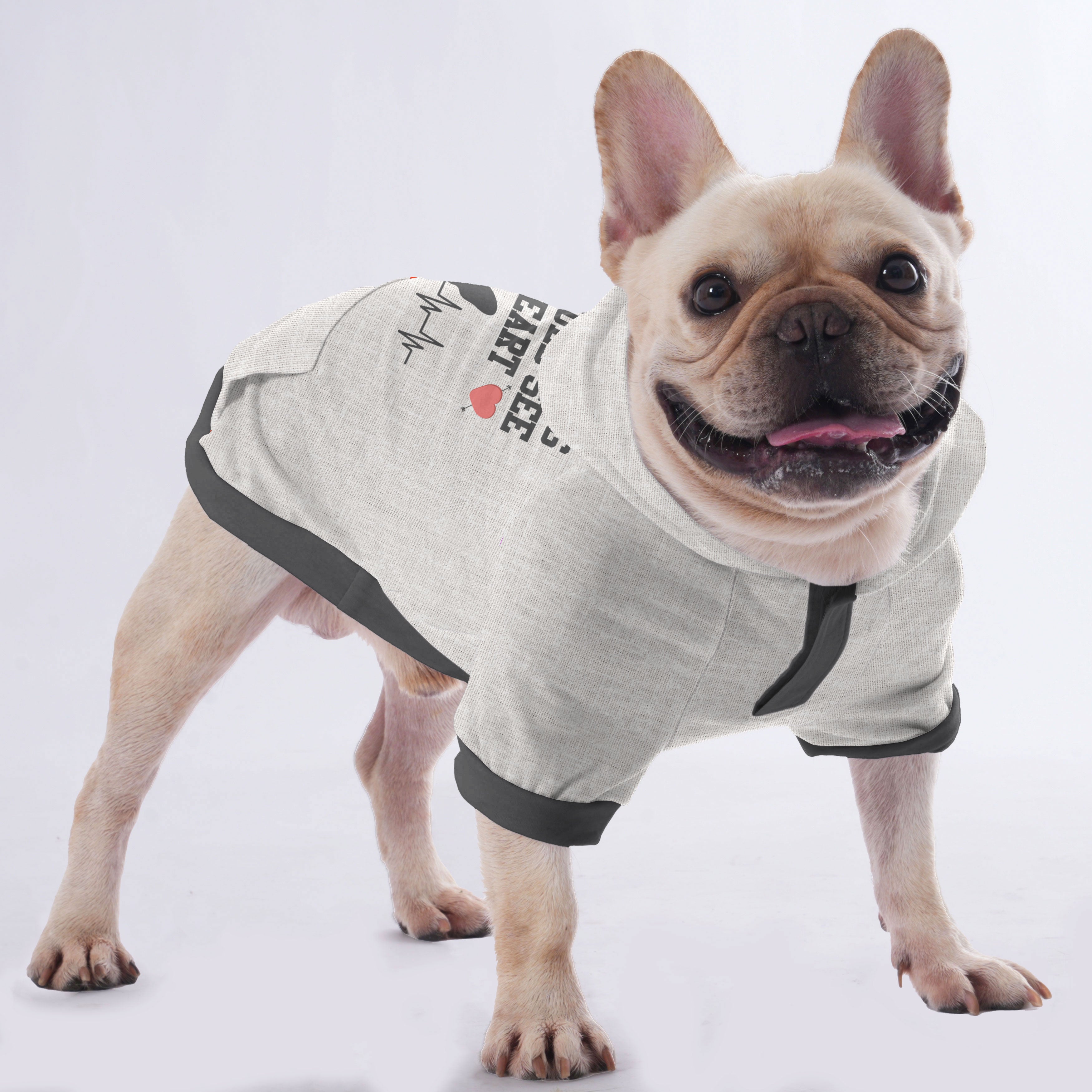 Premium Custom French Bulldog Hoodies Featuring Your Frenchie's Name ...