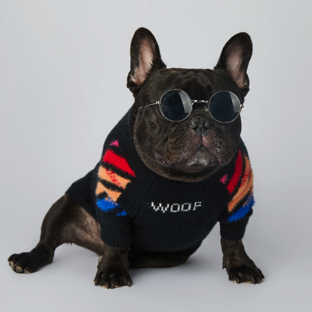 Durable Frenchup™ - Frenchie Woof Winter Sweater V3 for Fashion Lovers