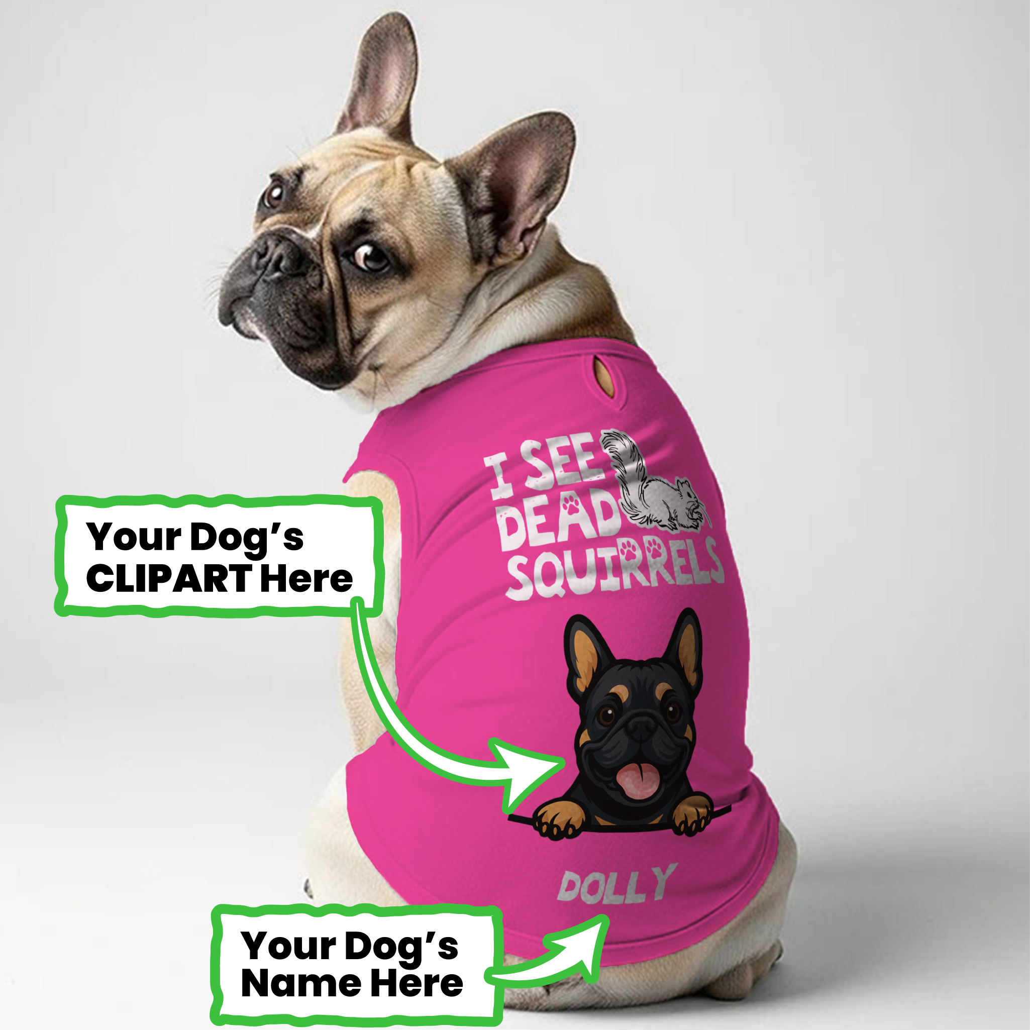 French Bulldog I See Squirrels Personalized Frenchie Shirt | Custom