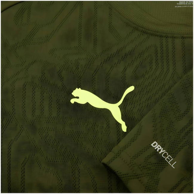 2024-2025 Borussia Dortmund Training Shirt (Myrtle) Antibacterial