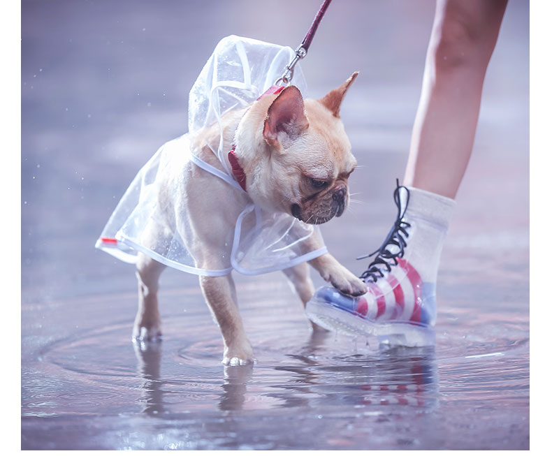 French Bulldog Raincoat (CS3)
