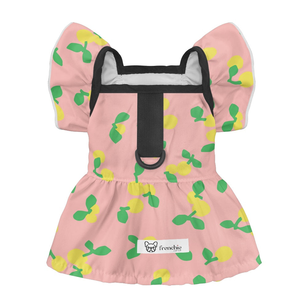 Kaia - Frenchie French Bulldog Dresses For Females Paw Protection
