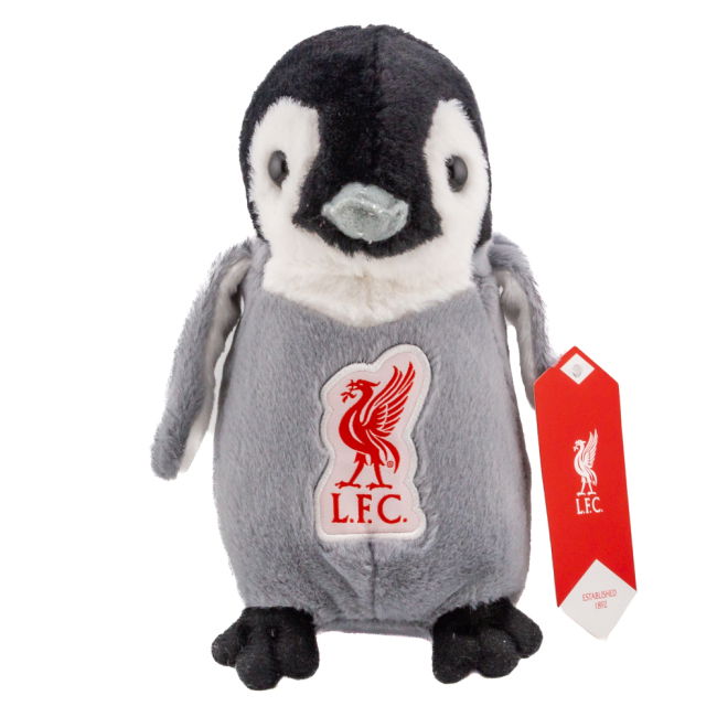 Liverpool Football Club Contemporary Home Team Kit (1)