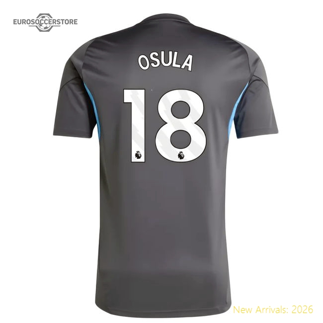 High-quality 2025-2026 Newcastle Training Shirt (grey) (osula 18)
