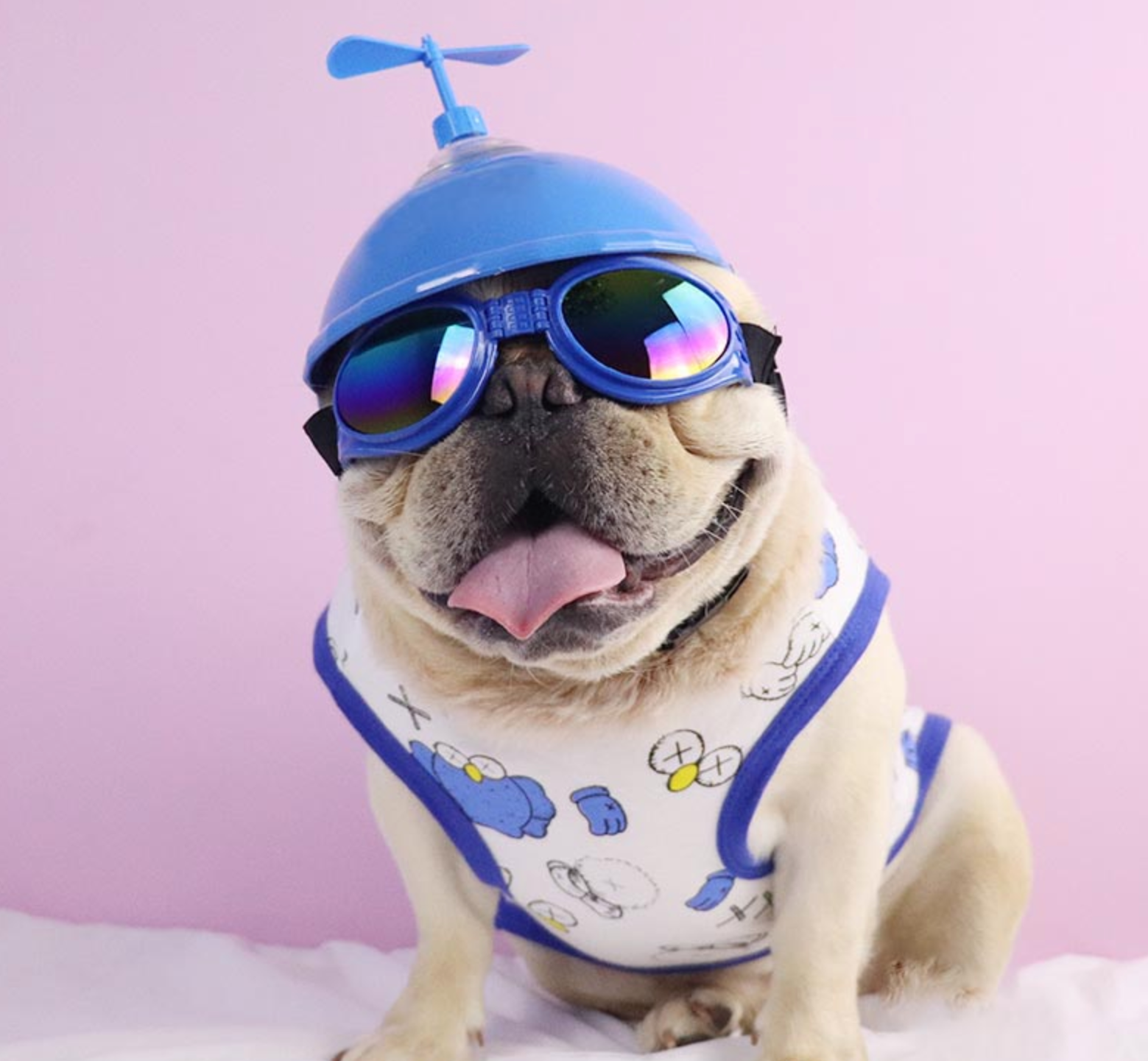 French Bulldog Frenchie Helmets (ws69) Practical Pet Supply