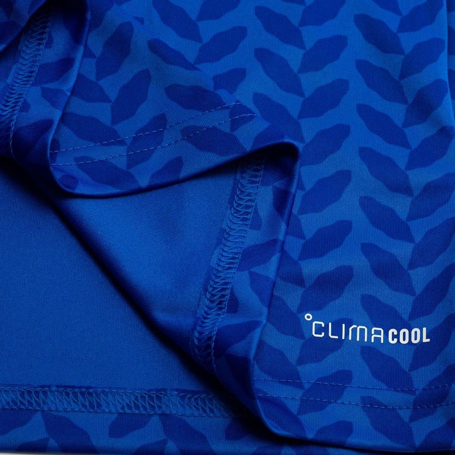 Italy Home Shirt 2025/26 For Algeria Football Fans