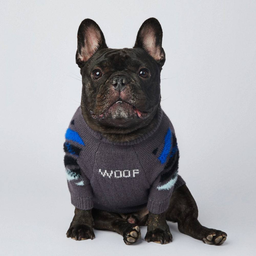 Frenchie Woof Winter Sweater V2 Pet Owner Apparel | Stylish Look