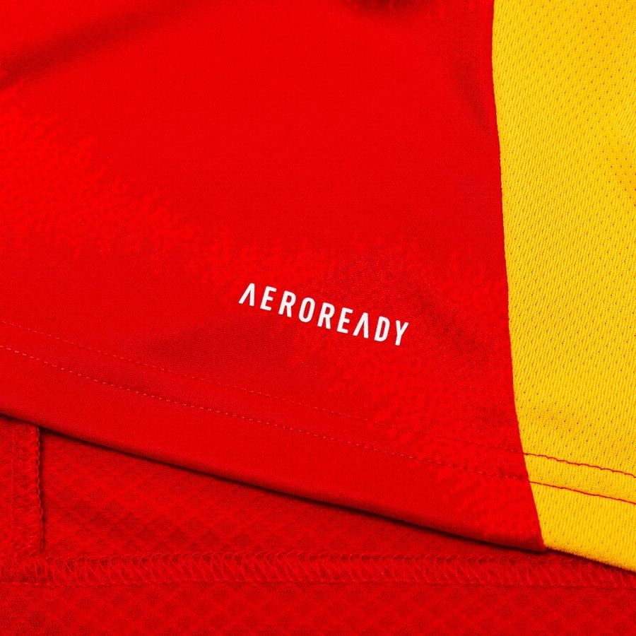 Spain Home Shirt 2024/25 For Algeria Football Fans