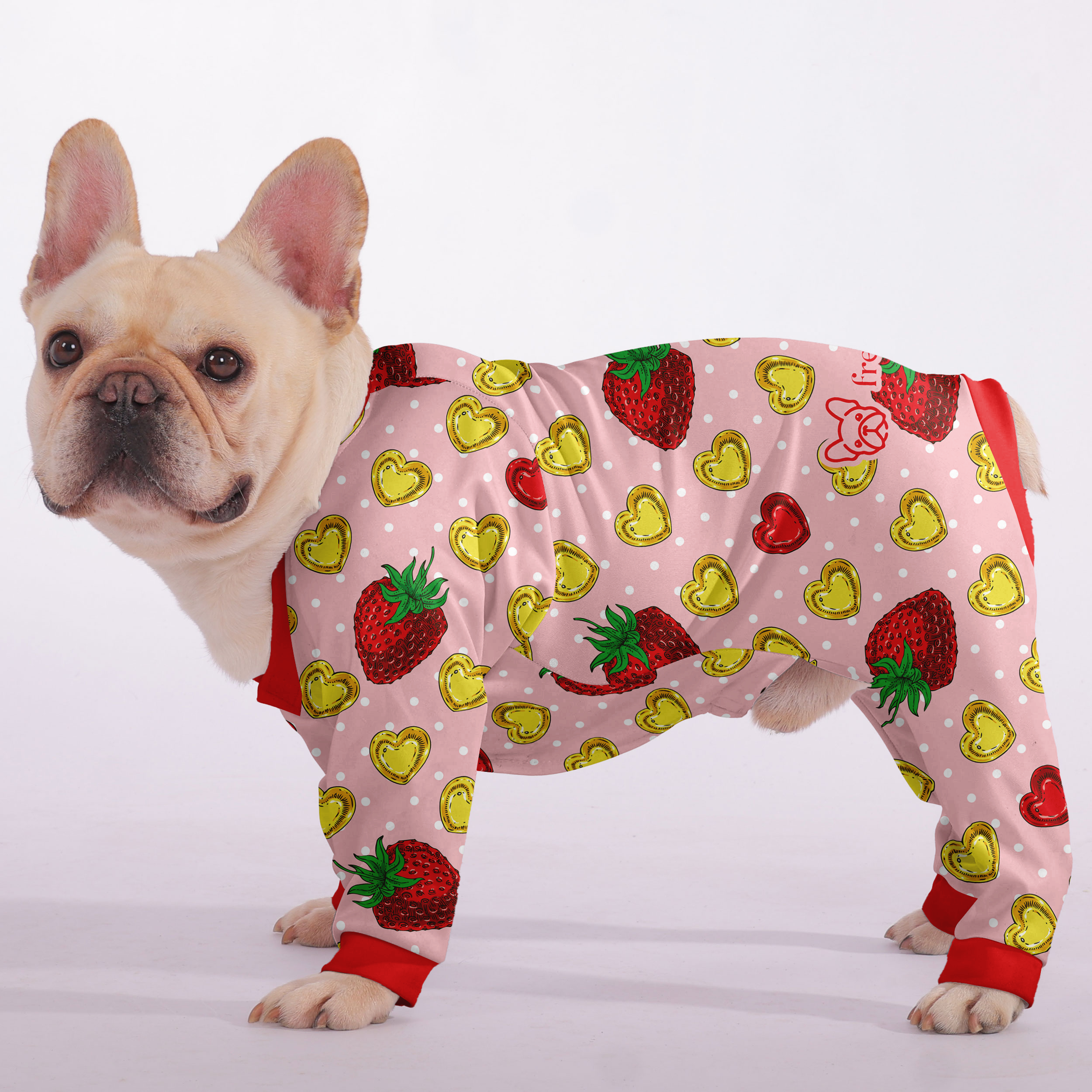 – Ultra-soft, Cozy, & Adorably Stylish Dog Supplies | Durable Build