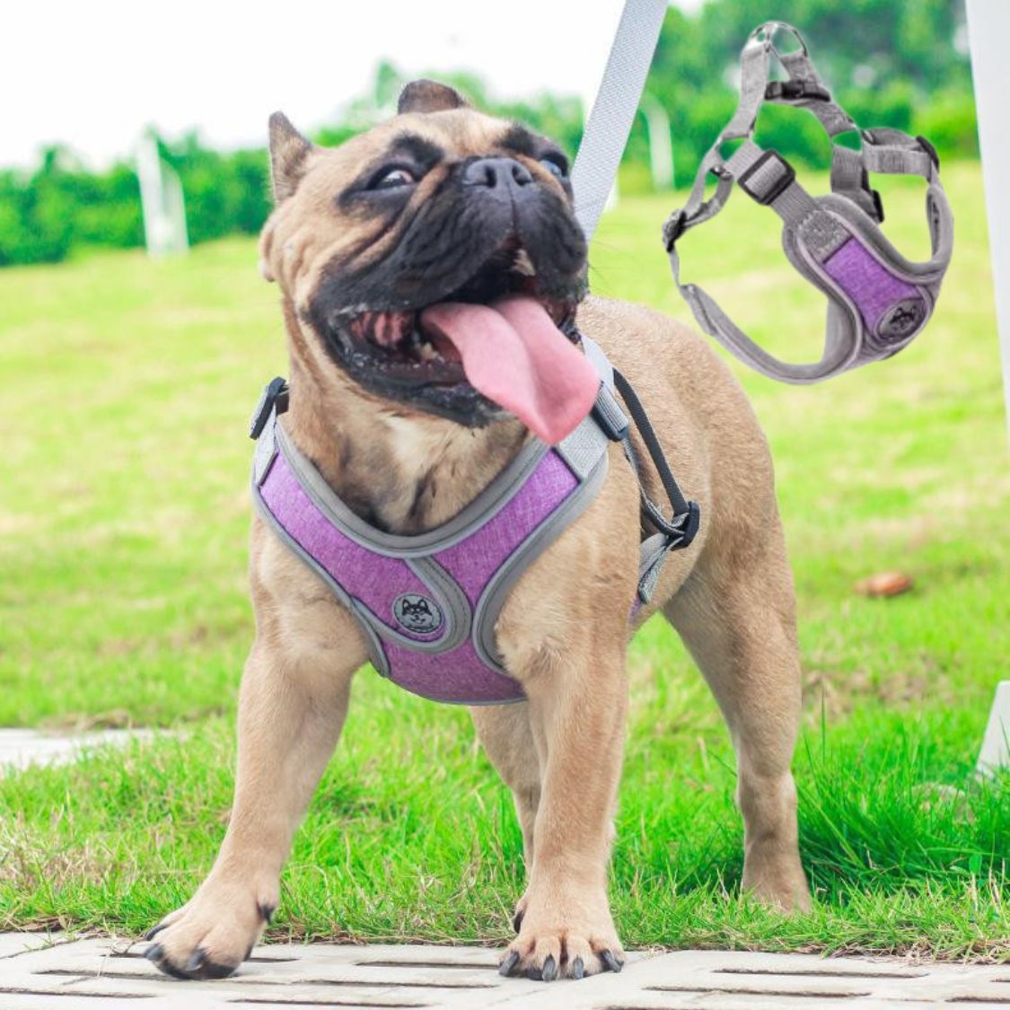 PupLuxe Reflective Frenchie Harness Adjustable Pet Vest