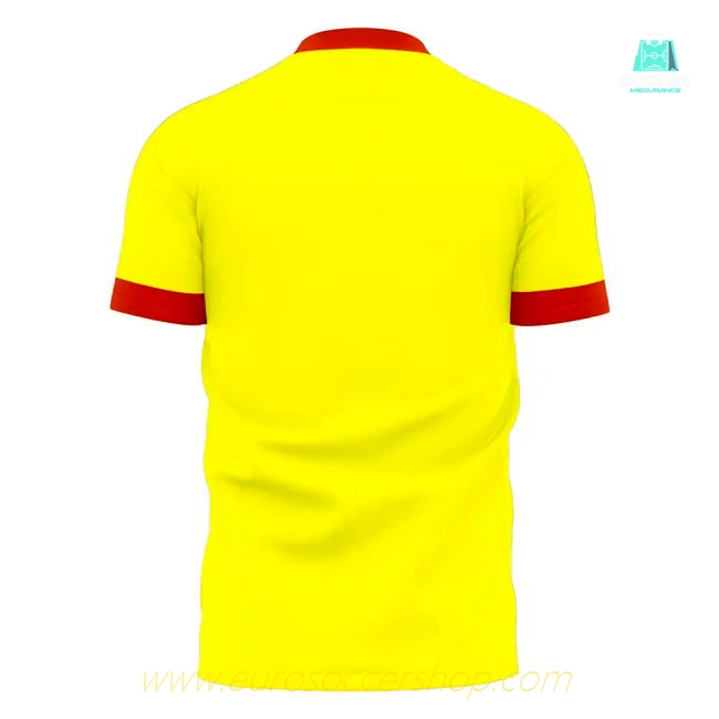 Le Mans 2025-2026 Home Concept Football Kit (Libero) - Womens