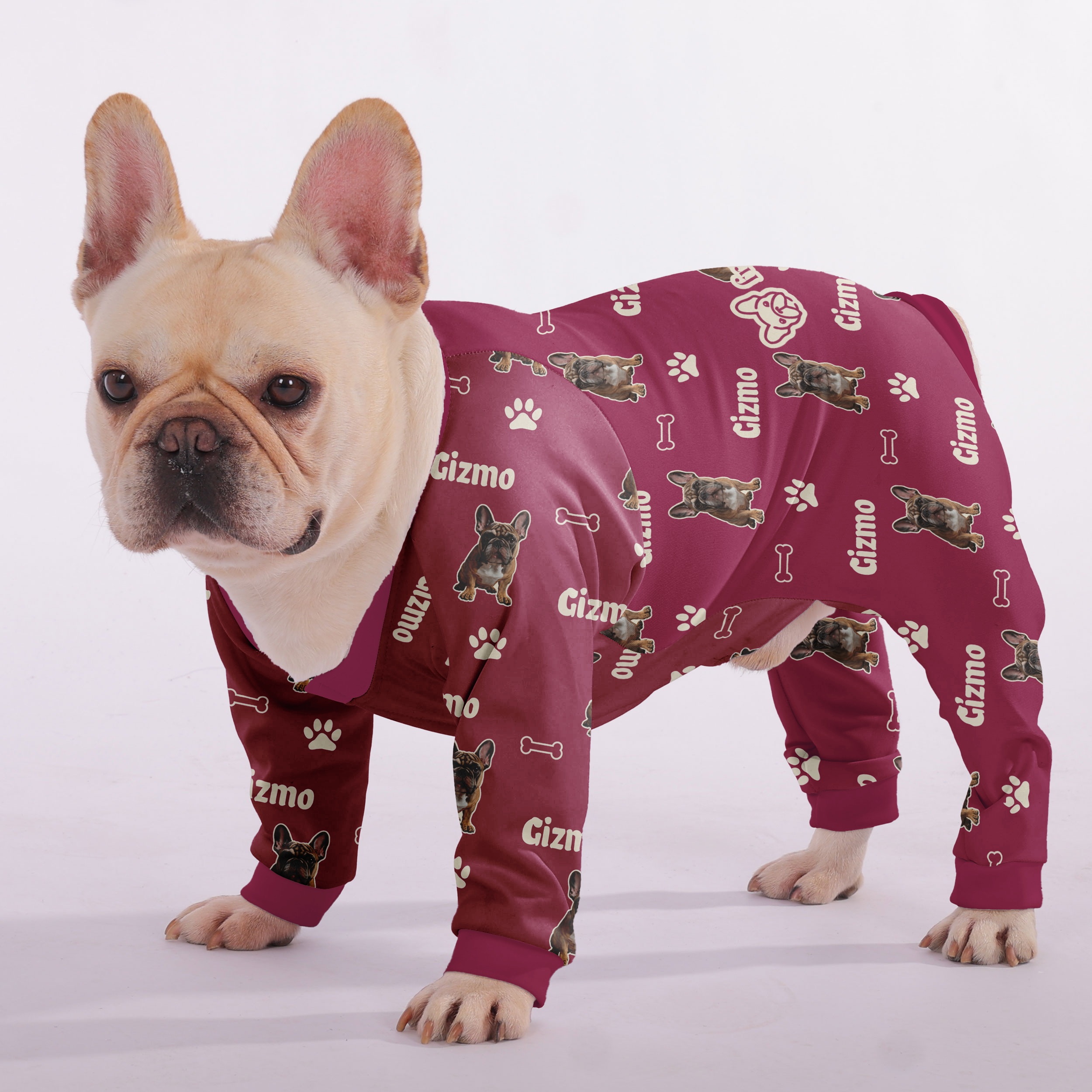 French Bulldog Rosie Personalized French Bulldog Pajamas With Your