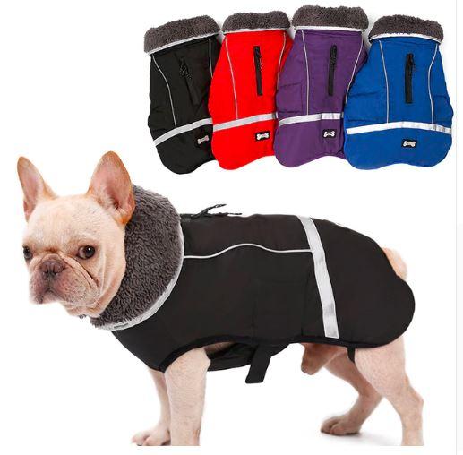 Comfortable Cozy Warm Coat For Frenchie (cs1) for Pet Enthusiasts