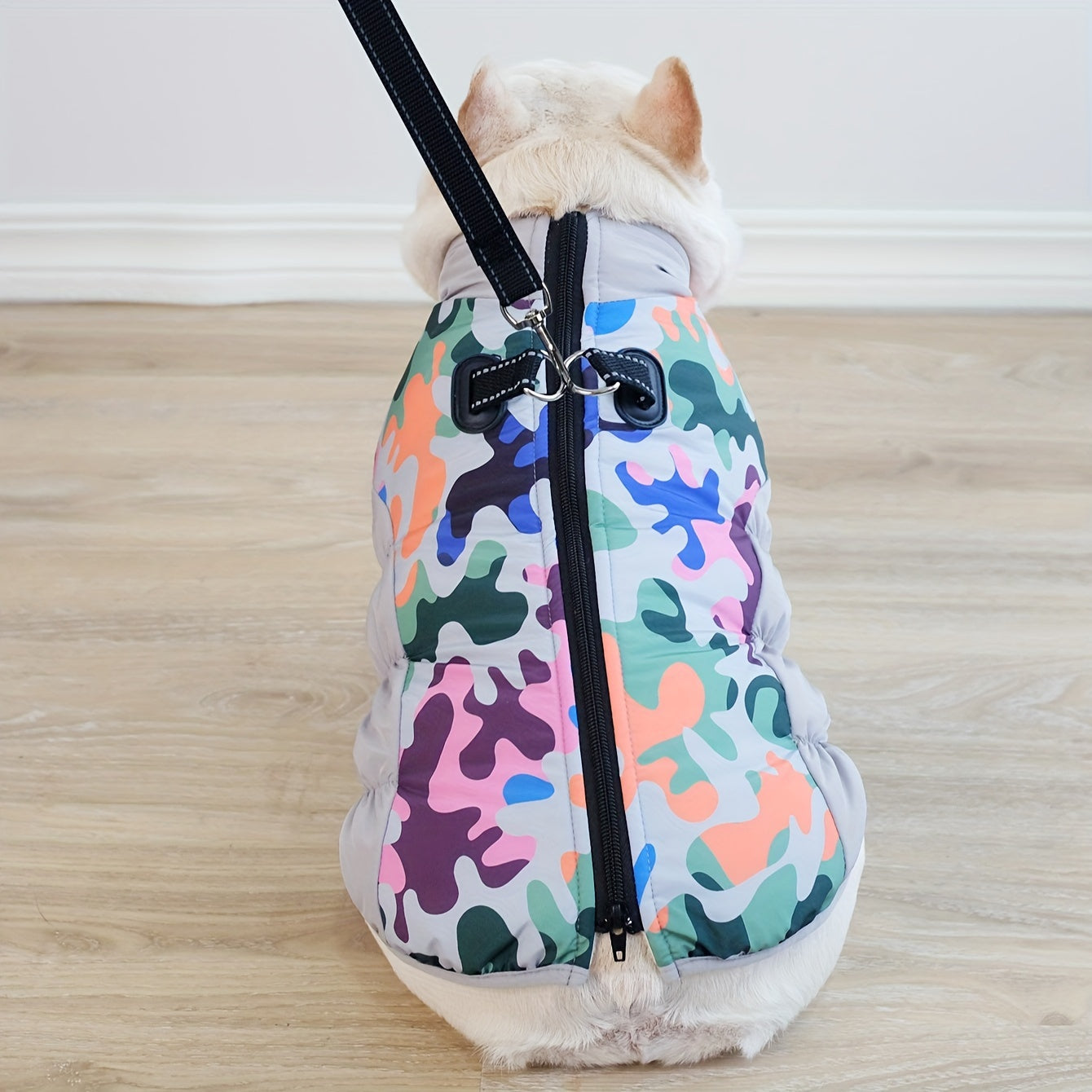 Winter Cozy Jacket With Leash Rope Summer Wear | Vet-recommended