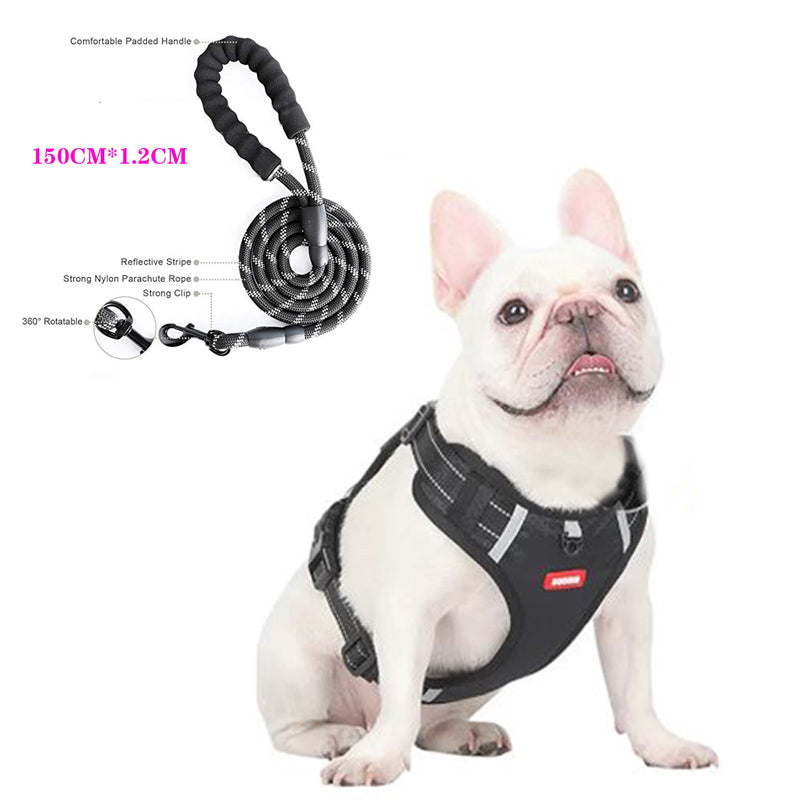 Reflective Lead Straps (ws 0723) For Frenchie Pups | Non-slip Design