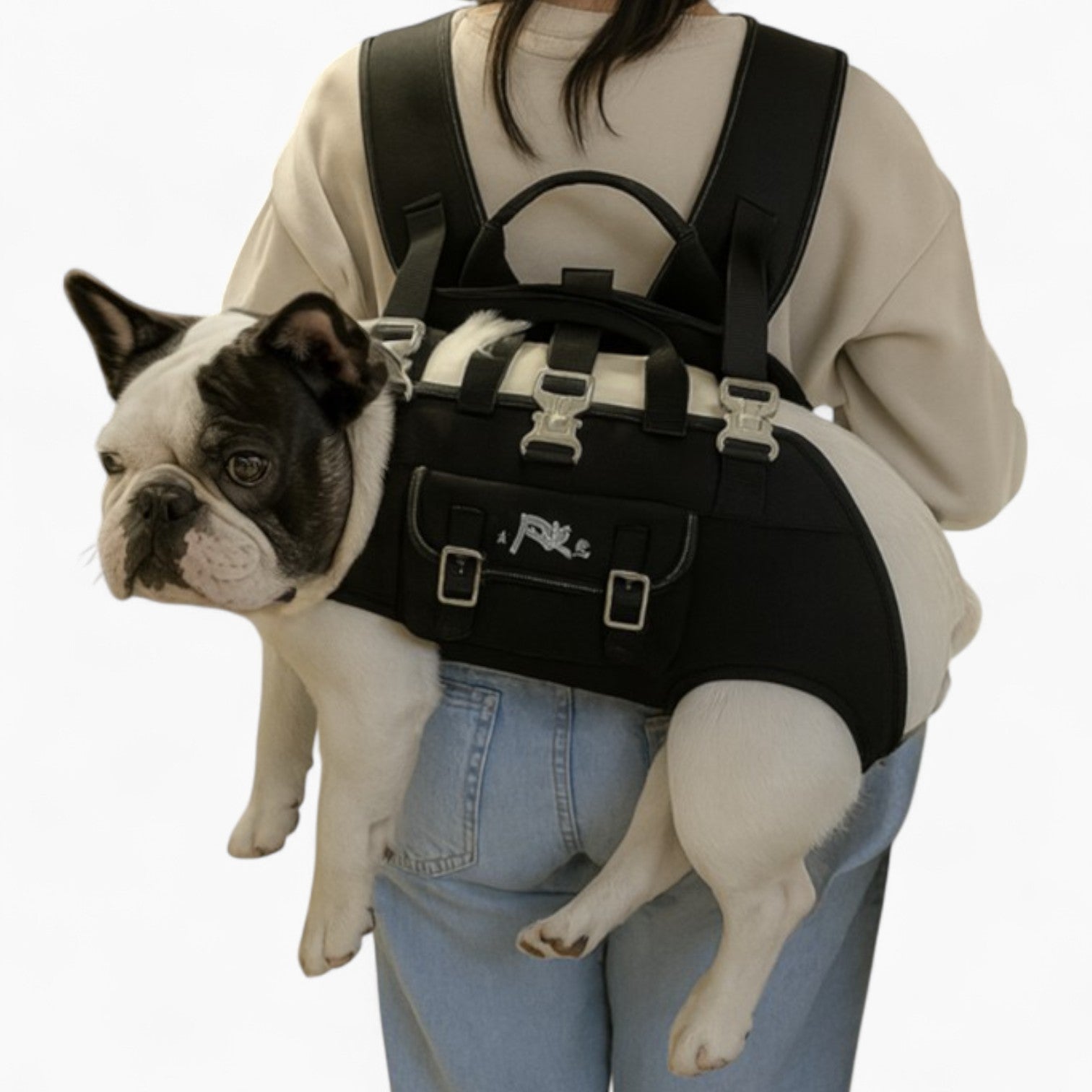 Portable Lightweight And Secure Pet Carrier Bag Pet Gear | Durable Build