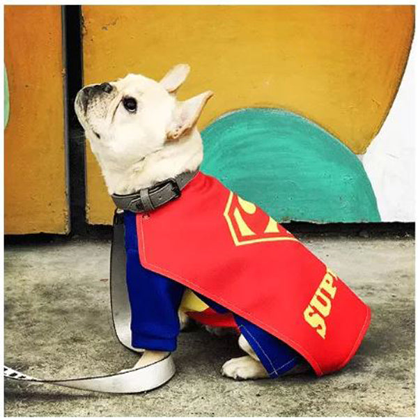 French Bulldog Superfrenchie Cosplay Clothes Summer Wear | Durable Build