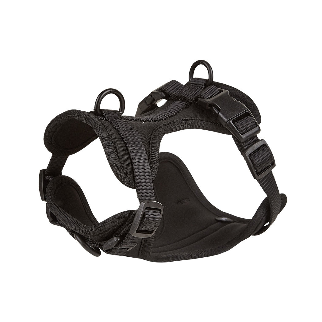 Quick Release Harness Leash Set Paw Protection | Vet-recommended