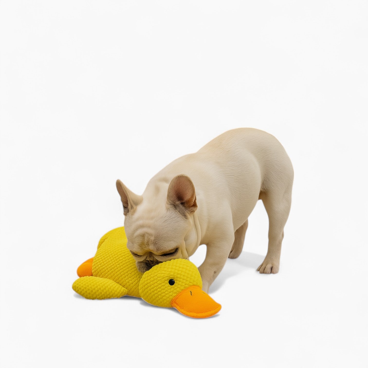 Ducklet Frenchie Duck Chew Toy – Interactive Sounding Quacking Sleeping Toy