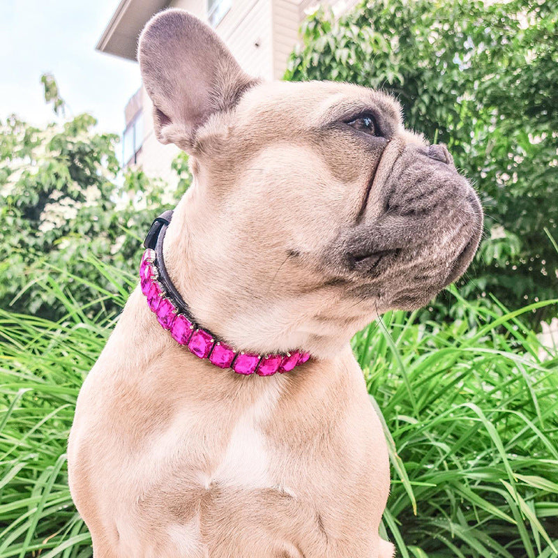 DiamondPaws Luxury Frenchie Collar Rhinestone Necklace for Your Posh Pup