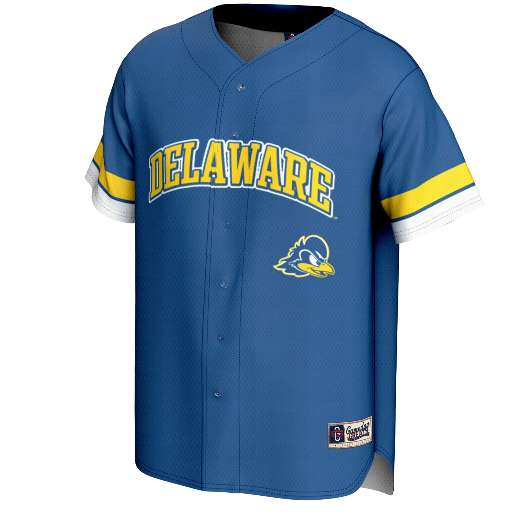 [DDG] Delaware Fightin' Blue Hens GameDay Greats Youth Spirit Baseball Jersey - Royal