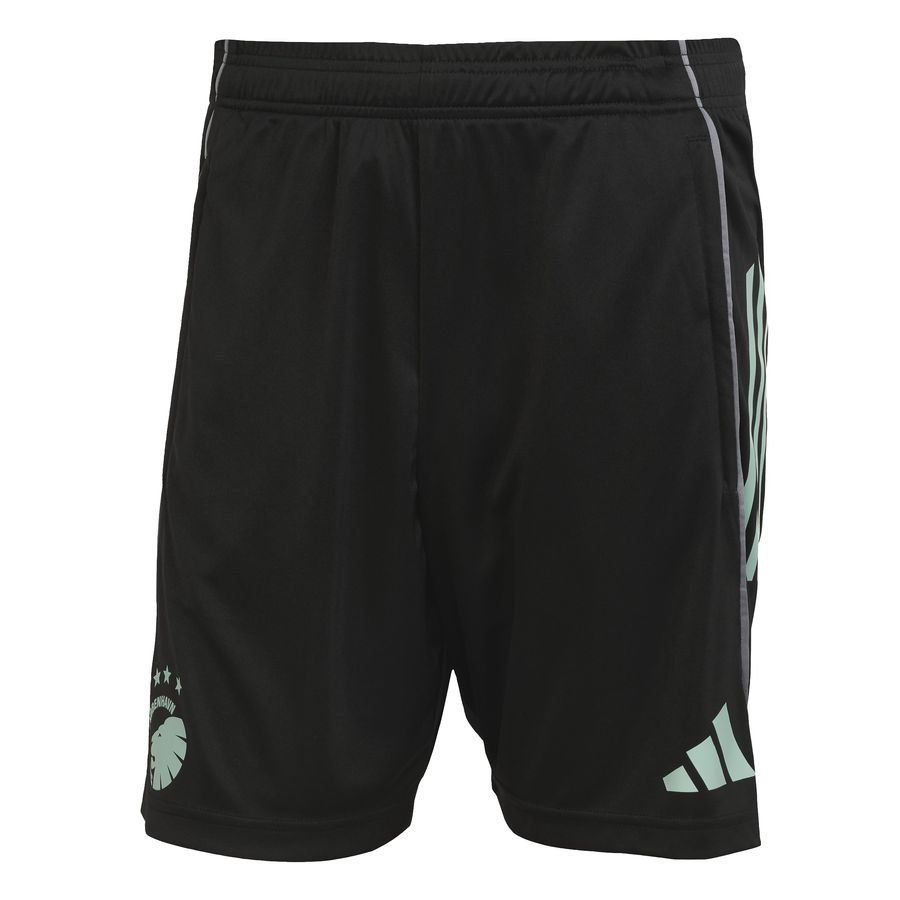 FC Copenhagen Training Shorts Tiro 25 - Black/Onix/st Fade Ocean