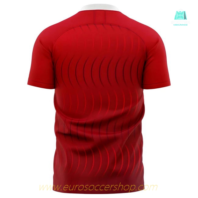 2025-2026 Fleetwood Town Home Concept Football Shirt - Womens