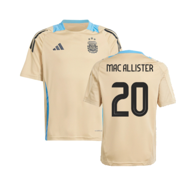Updated Argentina Home Team Kit 2024-2025