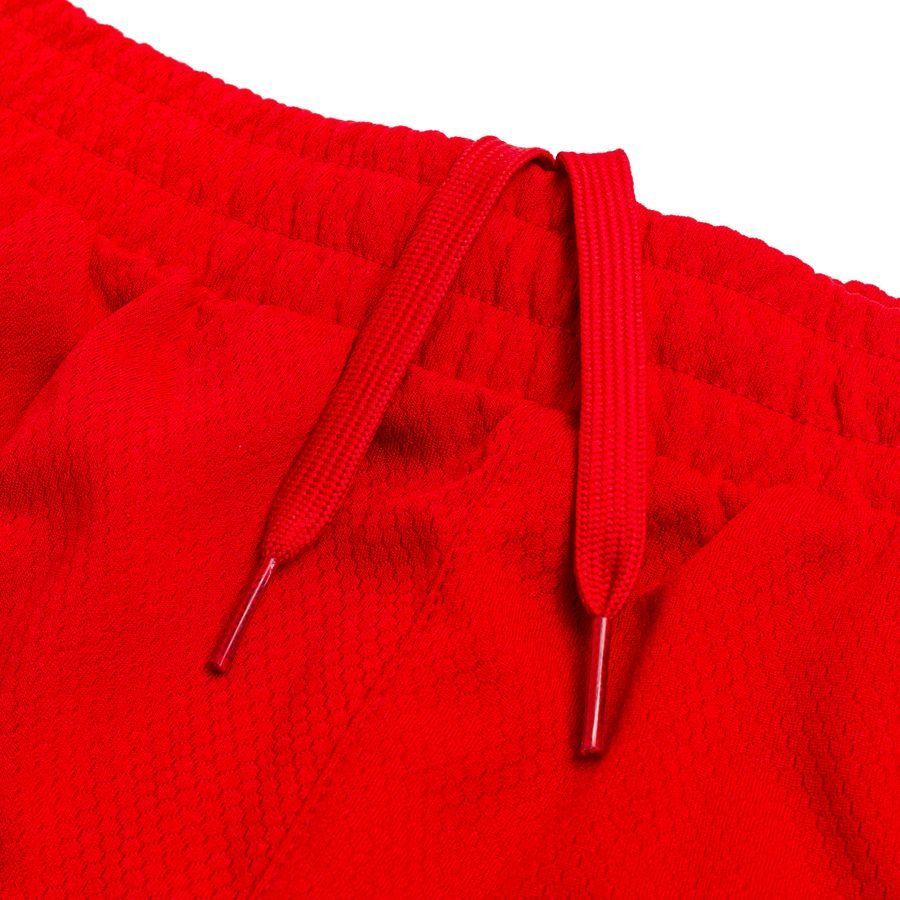 Denmark Home Shorts World Cup 2022 Adidas National Team Wear