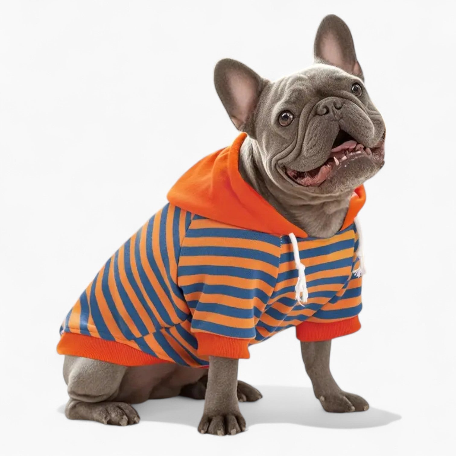 – Soft Striped Knit Pullover With Leather-style Tag Frenchie Themed Wear