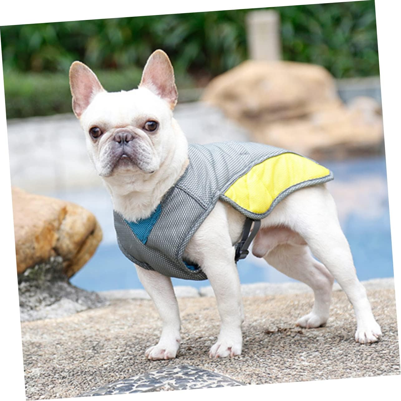 Coolify™ : Cooling Vest for Frenchie (CS13)