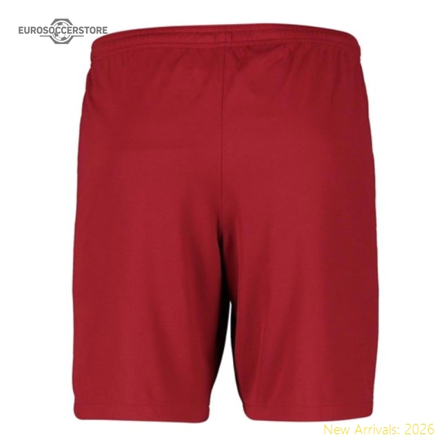 2025-2026 Football Team Kids Premium Jersey Aeroready Dri-fit