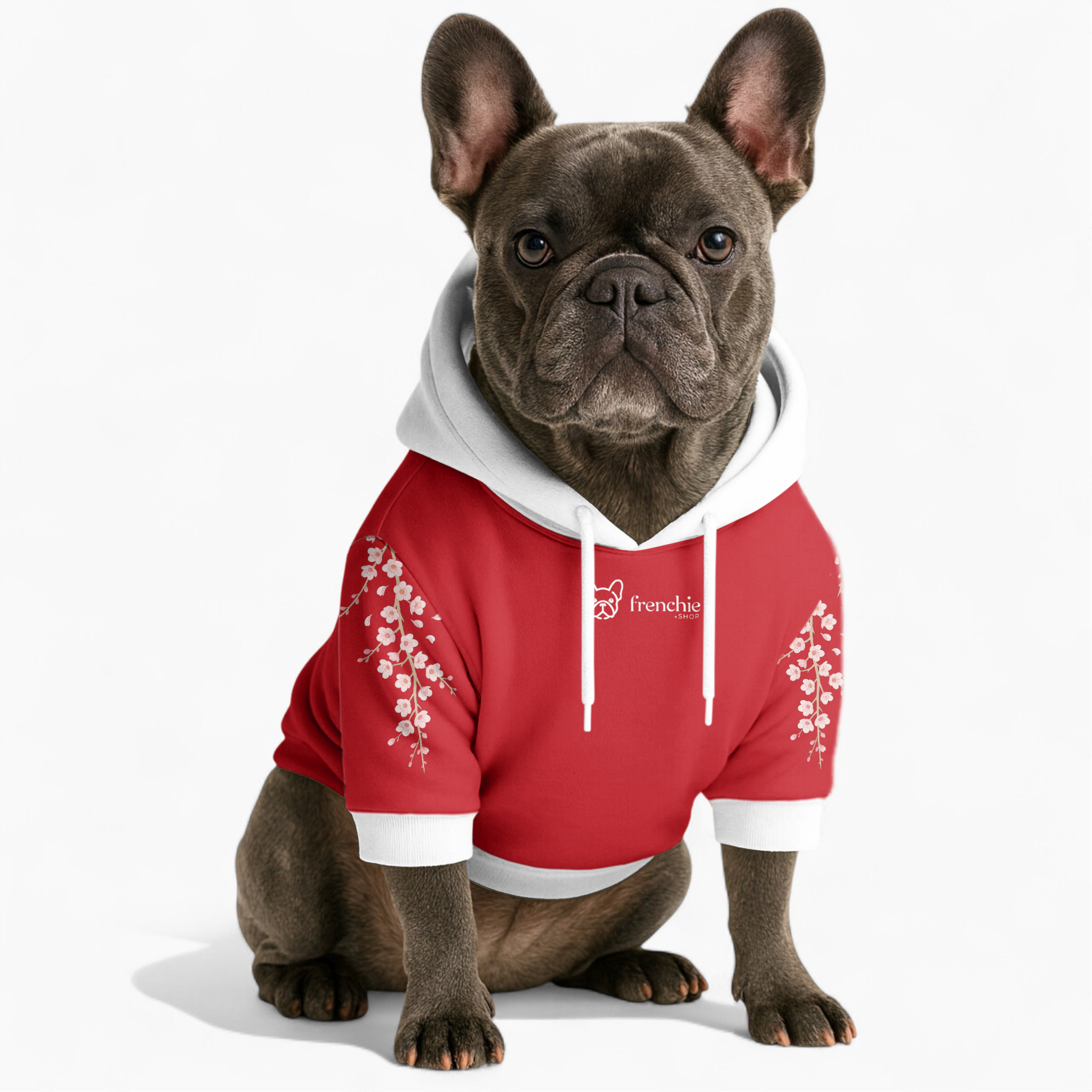 Darwin - Everyday Frenchie Hoodie Frenchie Themed Wear | Premium Quality