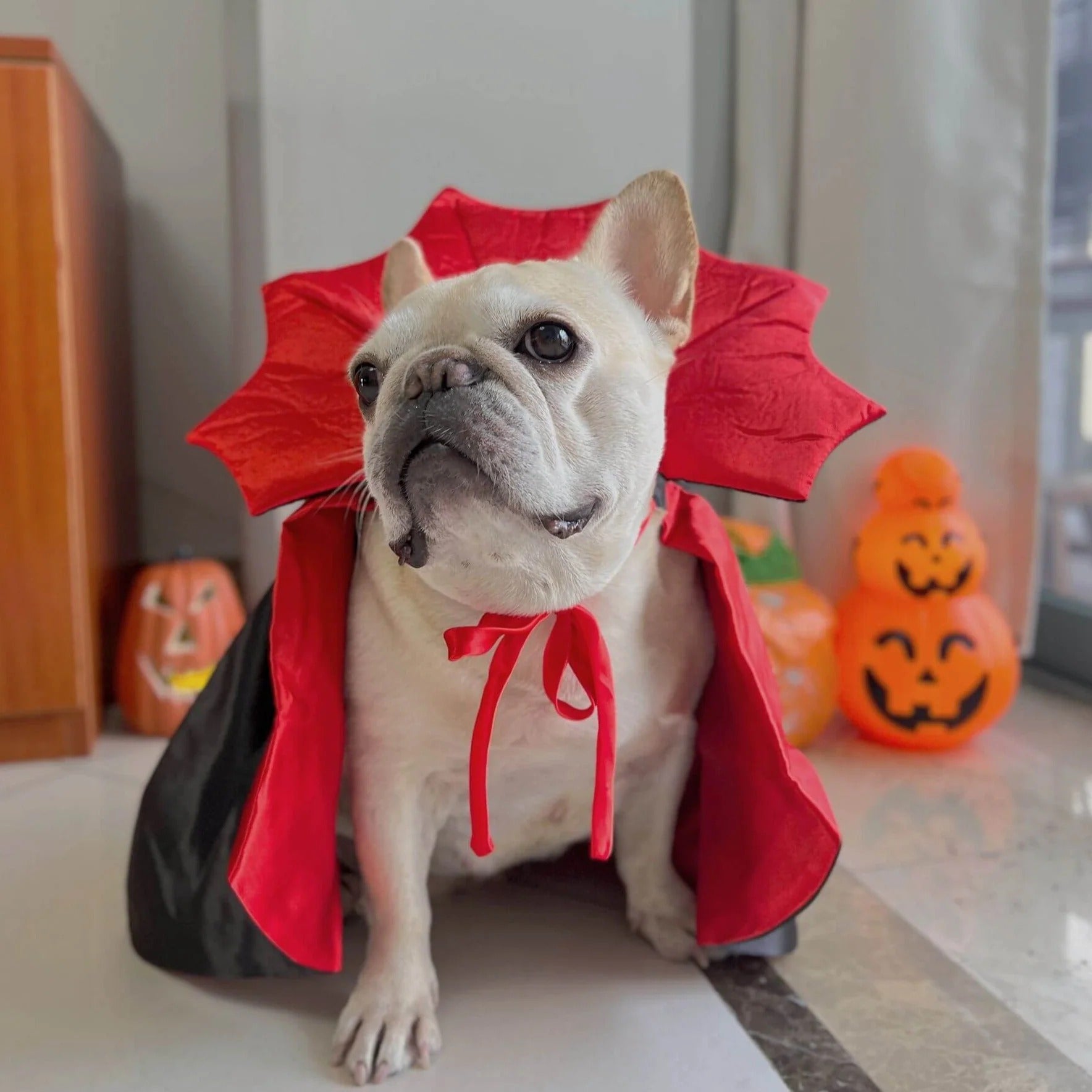 Cloak Costume – Halloween Red Black Satin Cloak For Frenchie Pups
