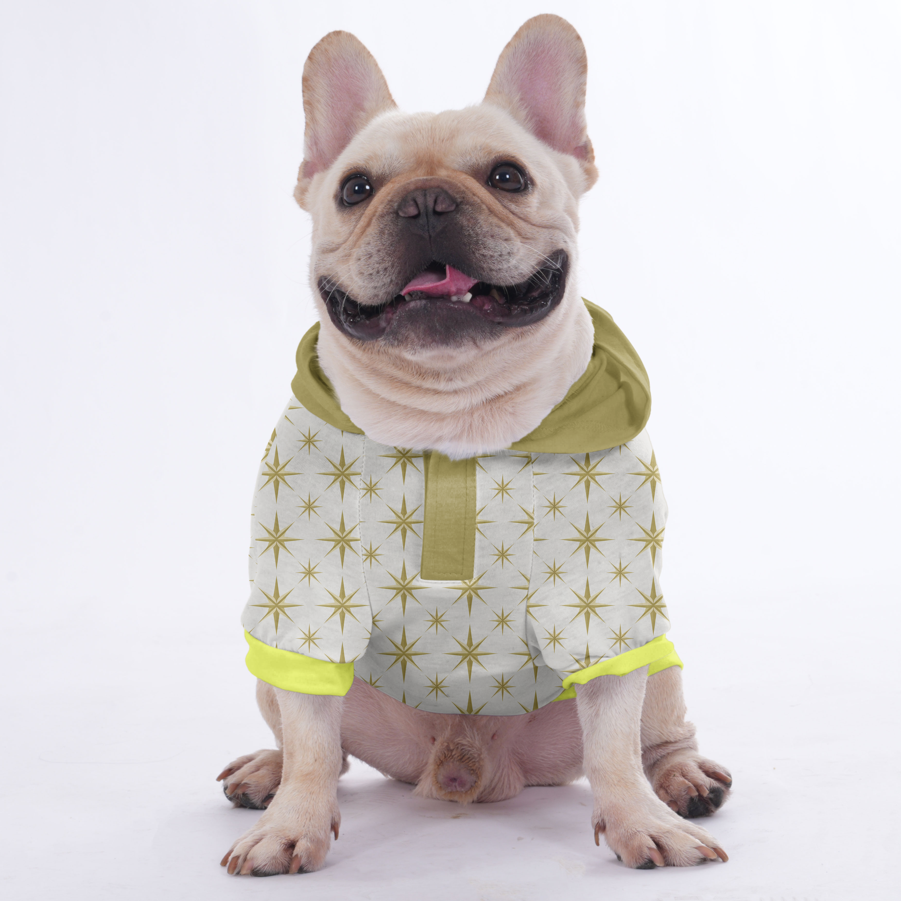 Everyday Tootsie - Hoodies For French Bulldog | Frenchie Shop Origina...