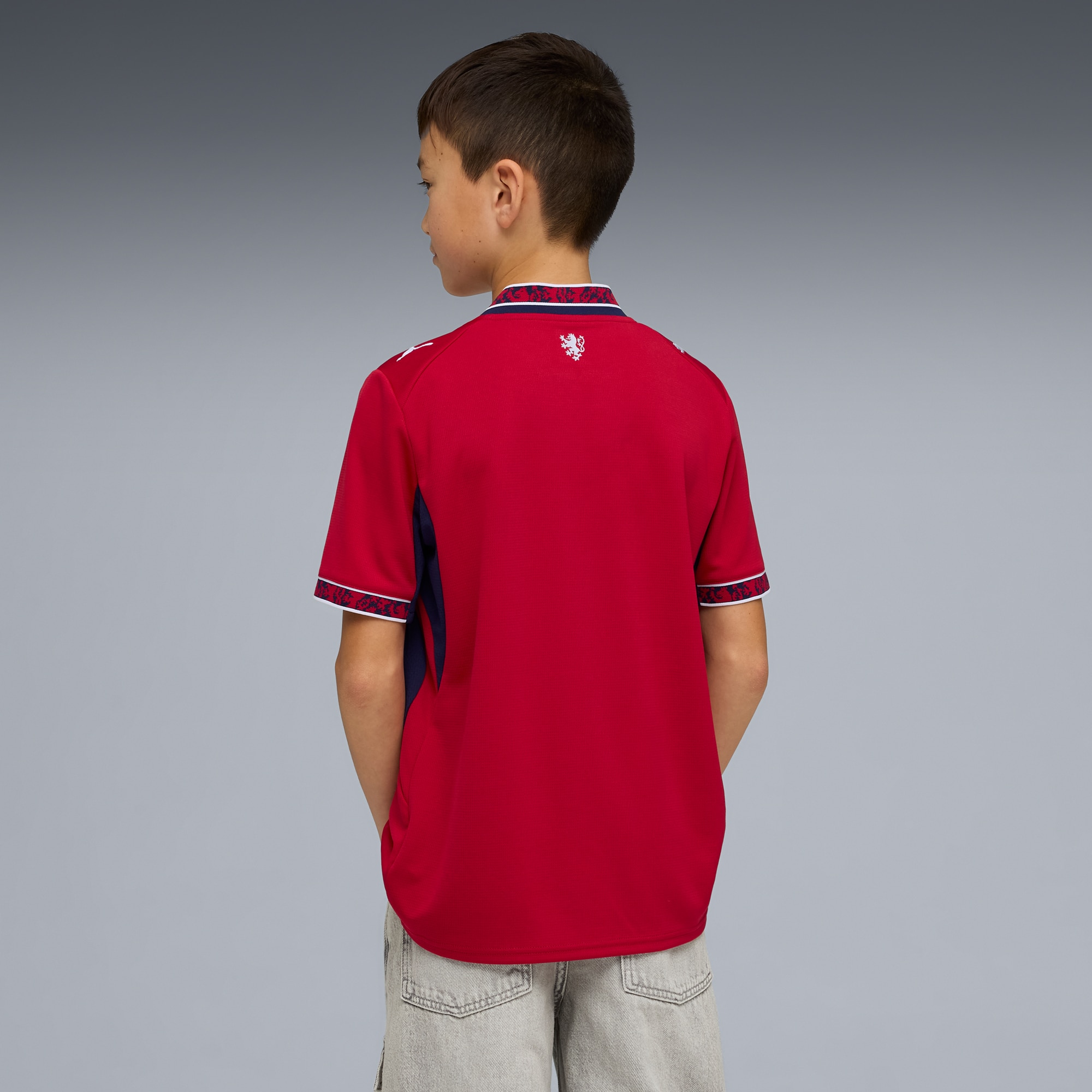 [LK] Czech Republic National Team Youth 2026 Home Replica Jersey - Red