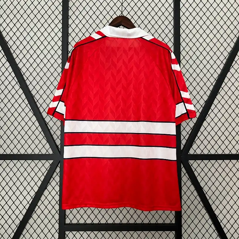 1988 Denmark Jersey retro kit