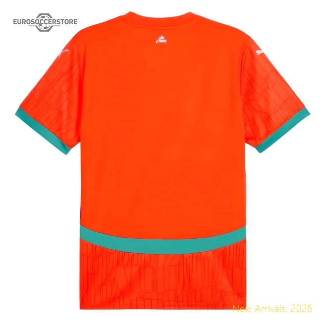 Ivory Coast 20242025 Home Shirt  Pro Sadults Quickdry