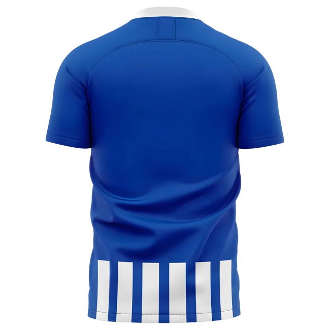 Professional Grade Football Club Modern Style Replica Official Shirt