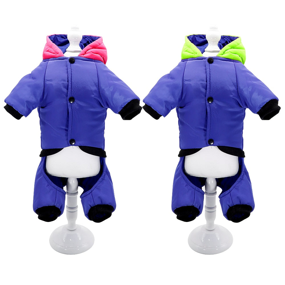 High-Quality Luna - Jacket For French Bulldog (ws308) for Pet Durable