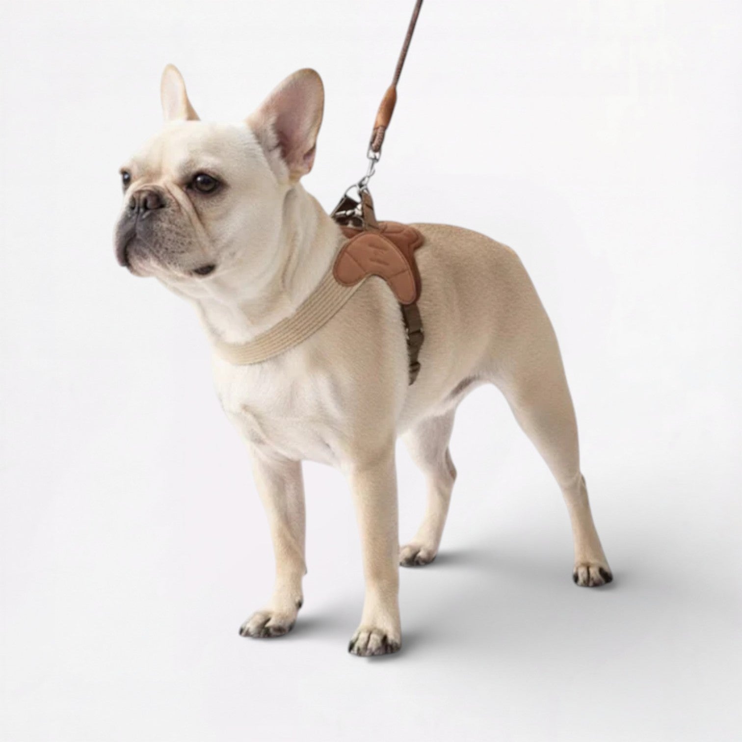 Indoor-Play Pawgent Frenchie Harness Leash Set – Lightweight No-pull ...