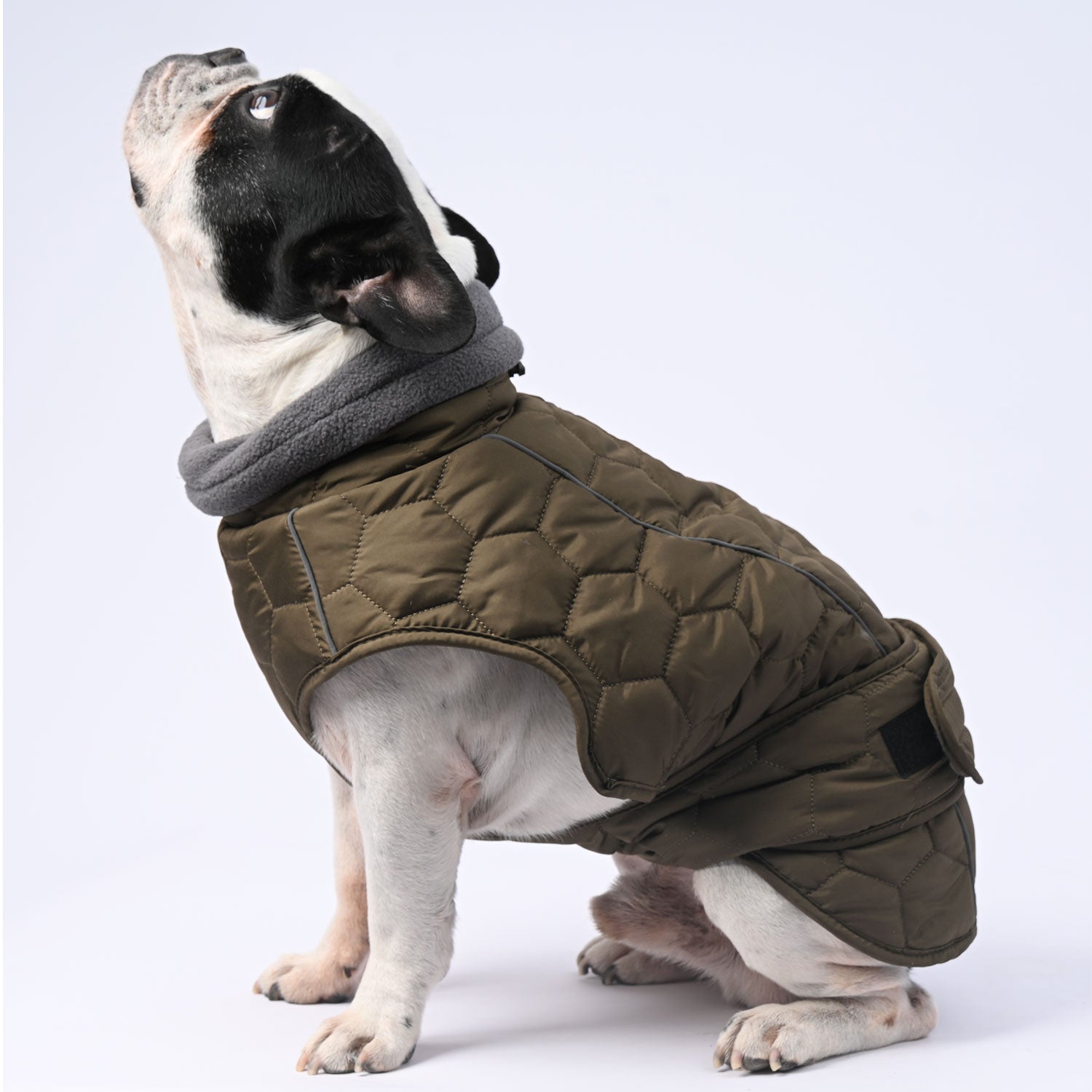 French Bulldog Iceshield Frenchie Winter Snowsuit With Reflective Design Warm Dog Outfit