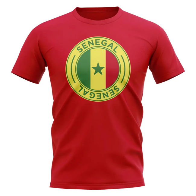 Updated Comfortable Senegal Home Team Kit