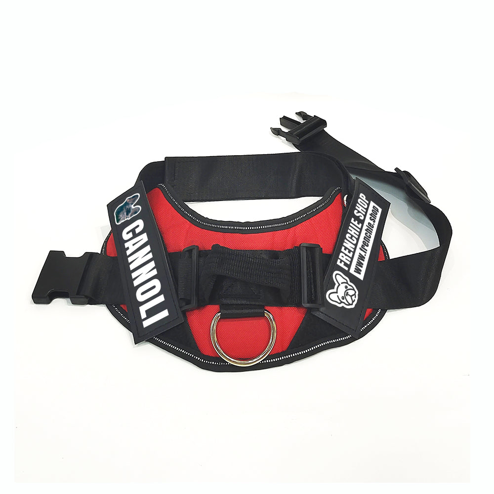 Secure-Fit Chex - Personalized French Bulldog Harness for Training