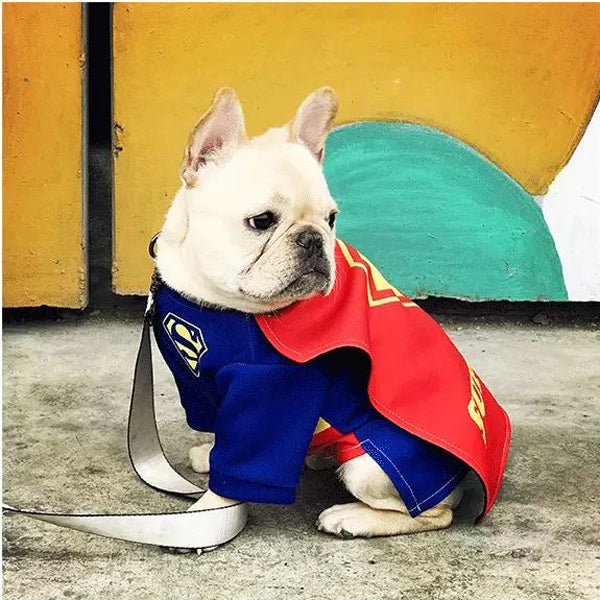 French Bulldog Superfrenchie Cosplay Clothes Summer Wear | Durable Build