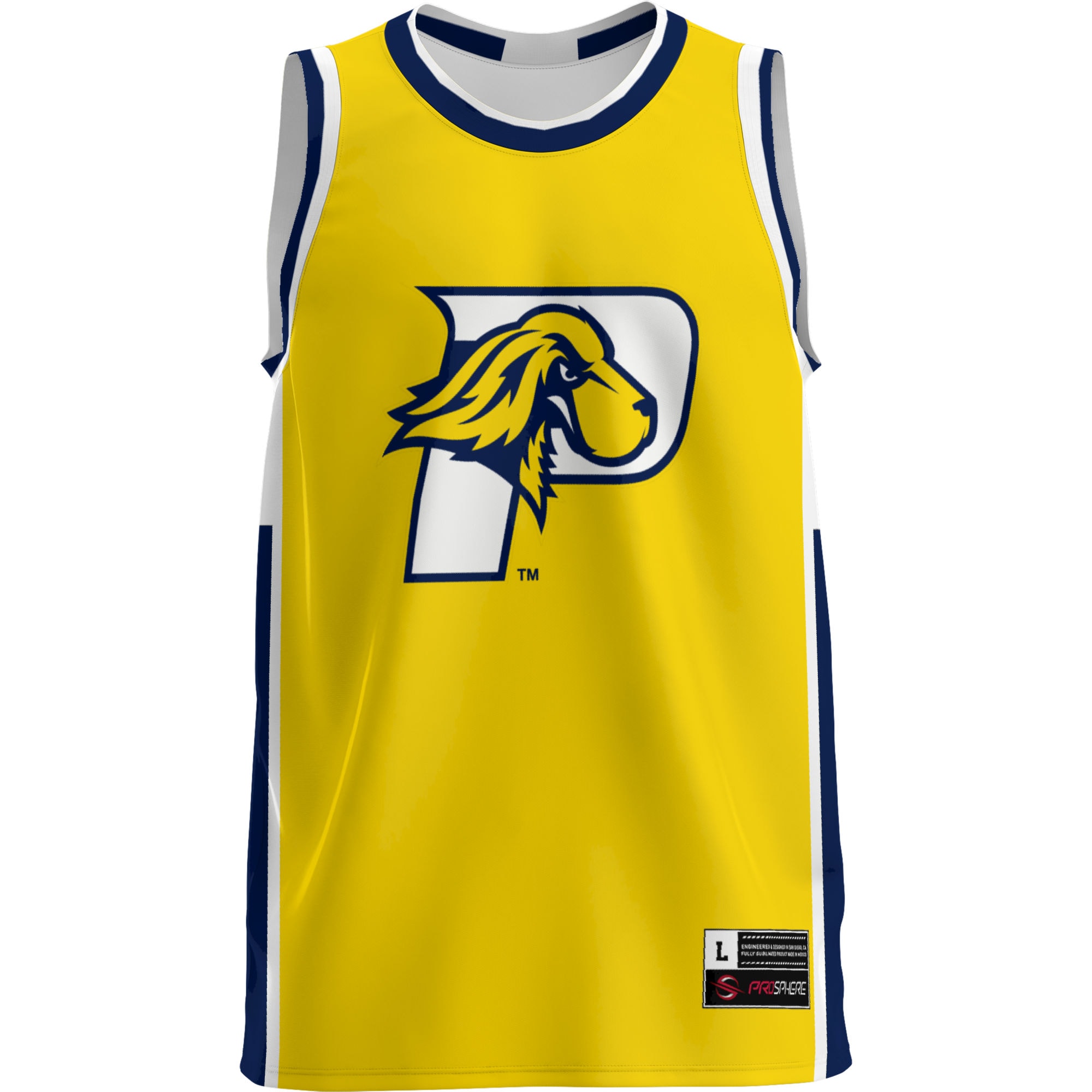 [DDG] Pace University Setters GameDay Greats Lightweight Basketball Jersey - Blue