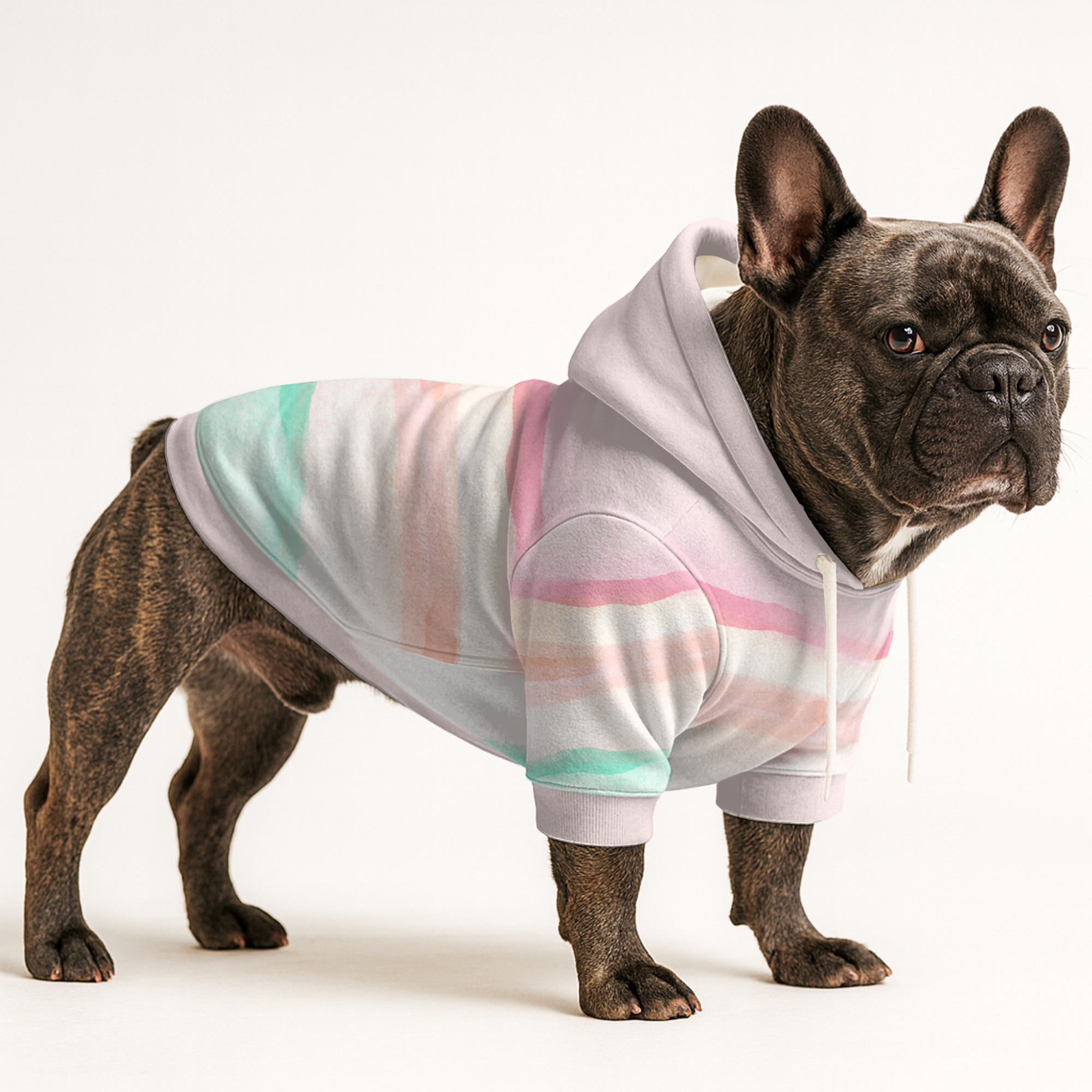 Pippa - Frenchie hoodie